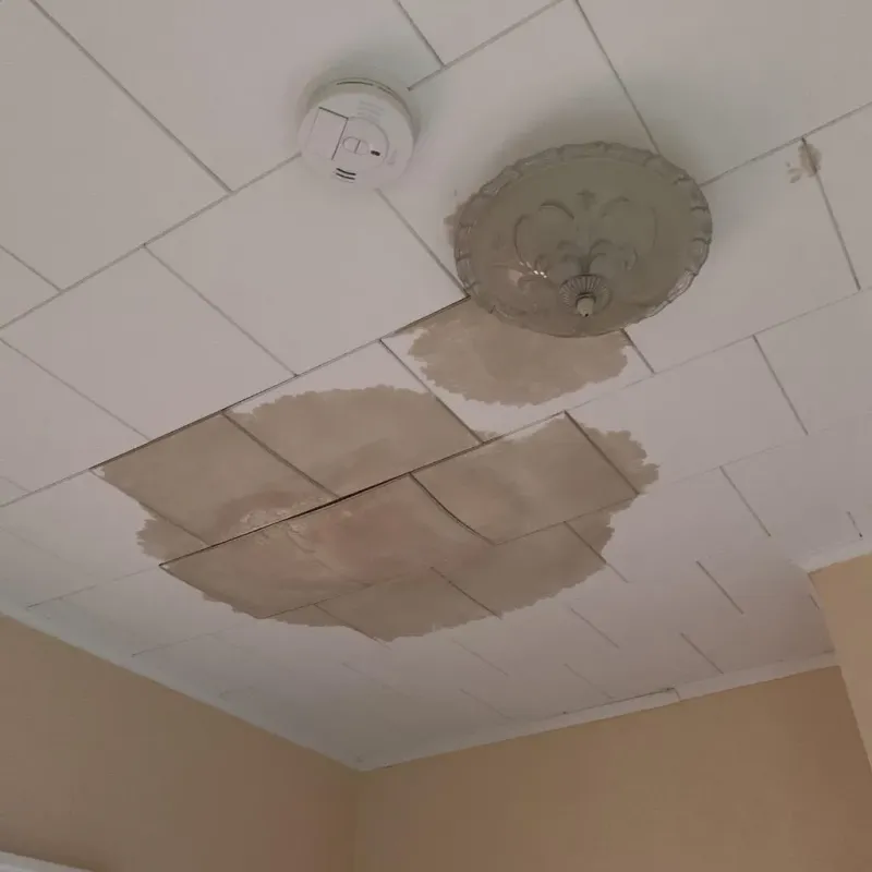 Ceiling Water Damage Repair in Hampden Sydney, VA