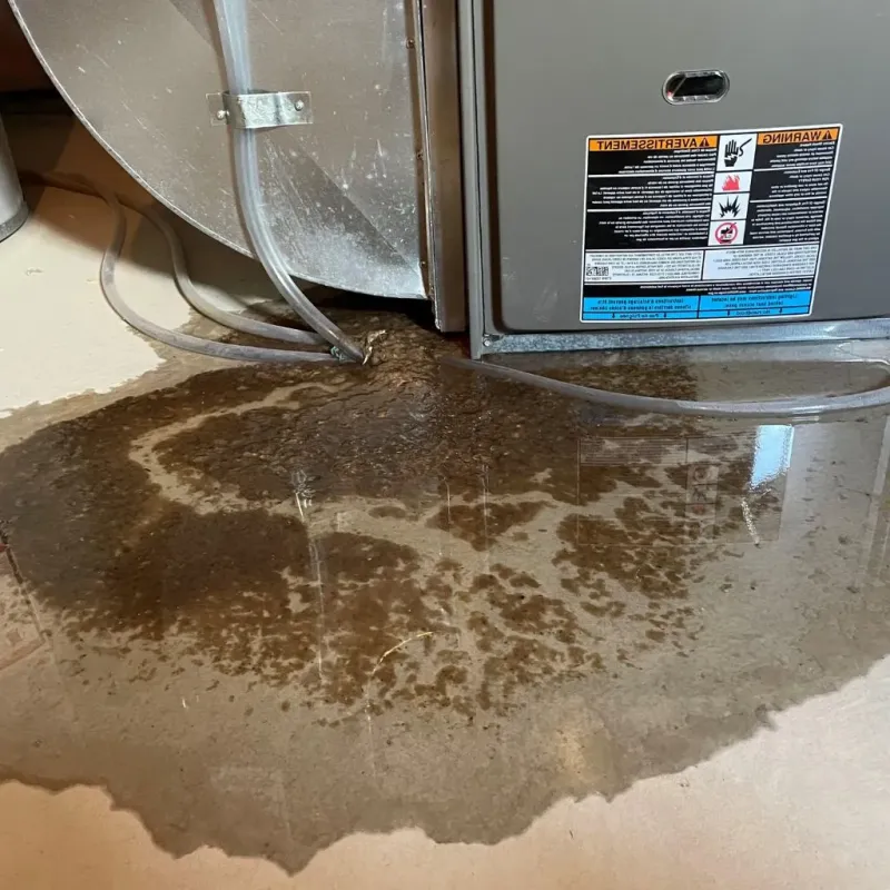 Pipe Burst and Leak Restoration in Hampden Sydney, VA