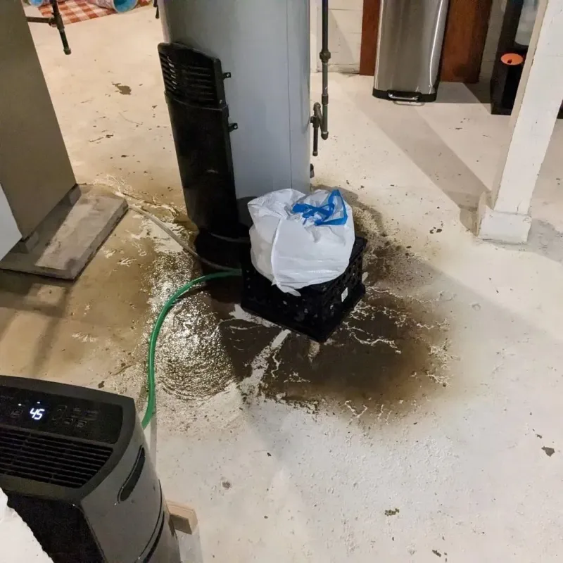 Sewage Backup Cleanup Service in Hampden Sydney, VA